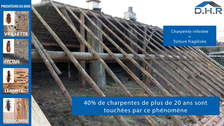 rénovation maison Moselle Sarreguemines - isolation combles Moselle Forbach - travaux toiture Moselle Thionville - couverture toiture zinc Moselle Metz - traitement humidité bâtiment Moselle Sarreguemines - étanchéité toiture Moselle Forbach - pose Velux Moselle Thionville - traitement charpente Moselle Metz - traitement façade et ravalement Moselle Sarreguemines - gouttières zinguerie Moselle Forbach - réparation toiture dégâts infiltration Moselle Thionville - démoussage toiture Moselle Metz - artisan rénovation local Moselle Sarreguemines - avis clients rénovation Moselle Forbach - chantier rénovation avant-après Moselle Thionville - devis rénovation maison Moselle Metz - expert rénovation thermique Moselle Sarreguemines - isolation laine soufflée Moselle Forbach - étanchéité membrane toiture Moselle Thionville