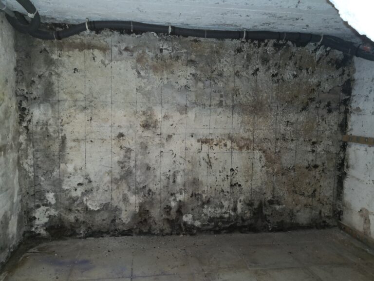 rénovation maison Moselle Sarreguemines - isolation combles Moselle Forbach - travaux toiture Moselle Thionville - couverture toiture zinc Moselle Metz - traitement humidité bâtiment Moselle Sarreguemines - étanchéité toiture Moselle Forbach - pose Velux Moselle Thionville - traitement charpente Moselle Metz - traitement façade et ravalement Moselle Sarreguemines - gouttières zinguerie Moselle Forbach - réparation toiture dégâts infiltration Moselle Thionville - démoussage toiture Moselle Metz - artisan rénovation local Moselle Sarreguemines - avis clients rénovation Moselle Forbach - chantier rénovation avant-après Moselle Thionville - devis rénovation maison Moselle Metz - expert rénovation thermique Moselle Sarreguemines - isolation laine soufflée Moselle Forbach - étanchéité membrane toiture Moselle Thionville